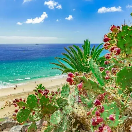 Dream Siete Villa Corralejo